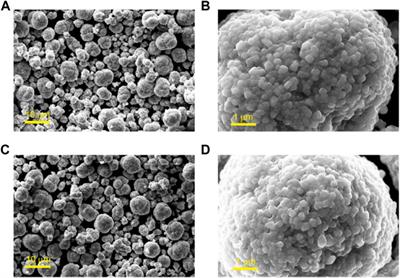 The Stabilizing Effect of Li4Ti5O12 Coating on Li1.1Ni0.35Mn0.55O2 Cathode for Liquid and Solid–State Lithium-Metal Batteries